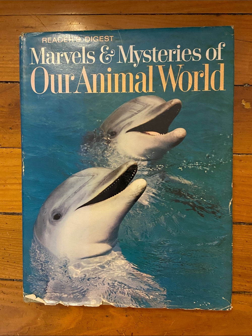 Vintage 60s 1960s Reader's Digest World Animal book Animals blue Dolphin cover